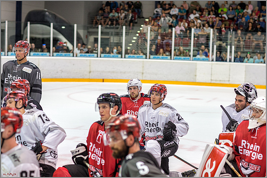 1. offizielles Training der Koelner Haie, 05.08.2018